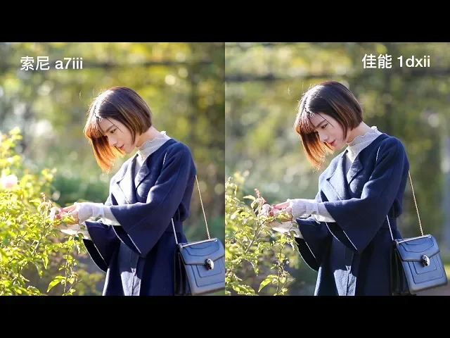 canon 1dx ii vs sony a7iii,哪个拍视频颜色更好看?